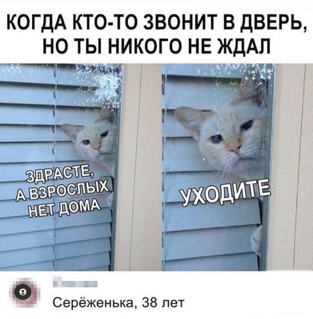 Картинки с надписями и всякие жизненные фразы 10.1.21