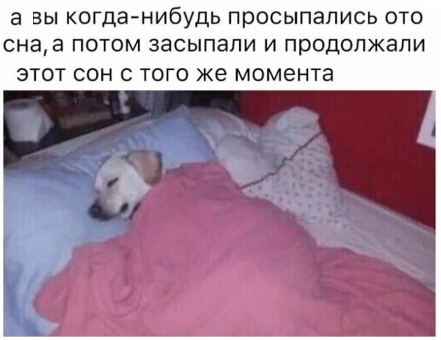 Картинки с надписями и всякие жизненные фразы 14.1.21