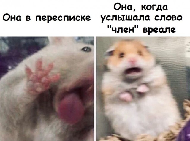 Боянистые и не очень картиночки с тупым йумором
