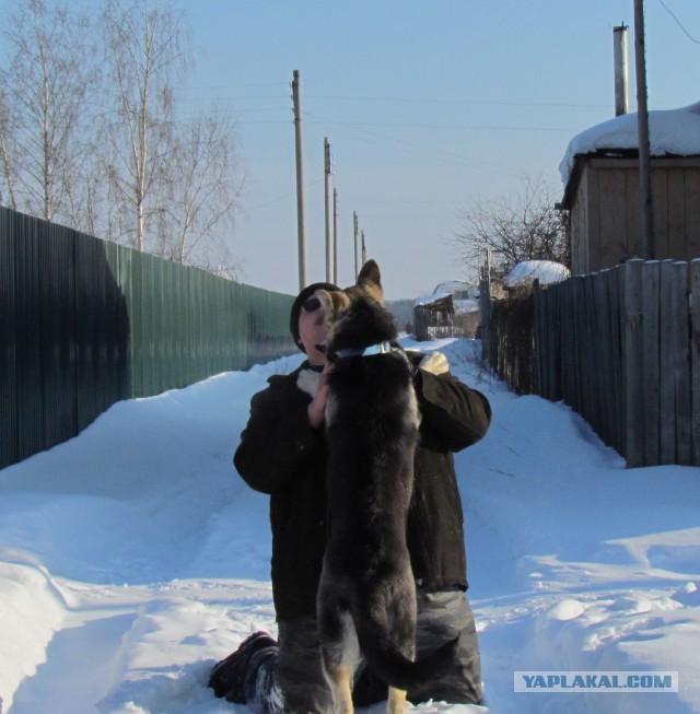 Майор