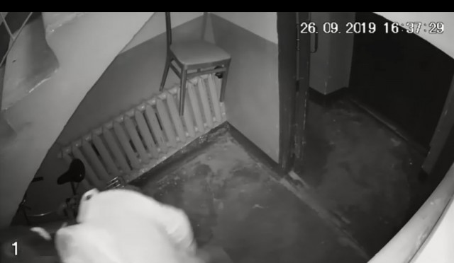 Попытки кражи велосипеда в Малаховке