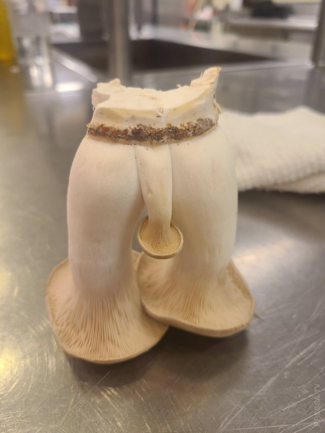 Картинки и мемы для настроения