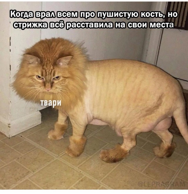 Женщина за 50 никому не нужна
