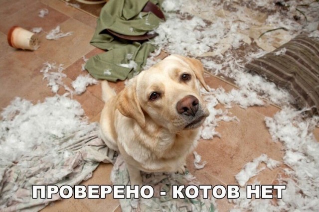 Так себе картинки 13.07.21