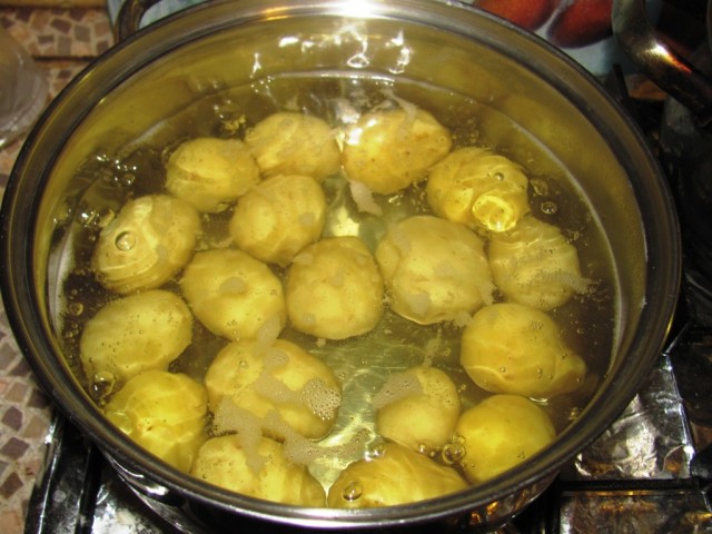 Пятничные посиделки на теплотрассе ©