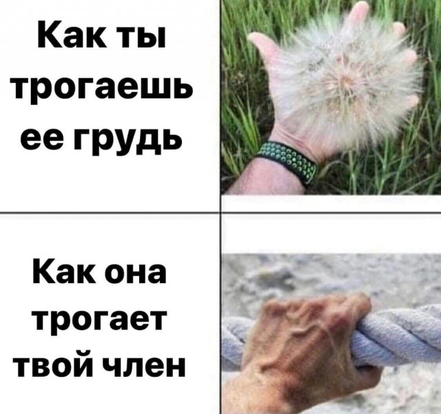 Пятница. И немного слегка пошлых картинок с надписями и без 16+ (24.12)