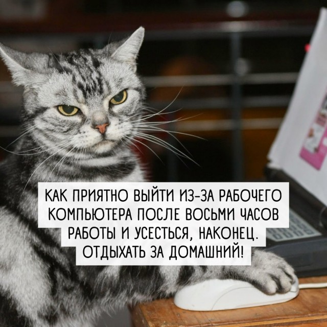 Так себе картинки 02.04.22