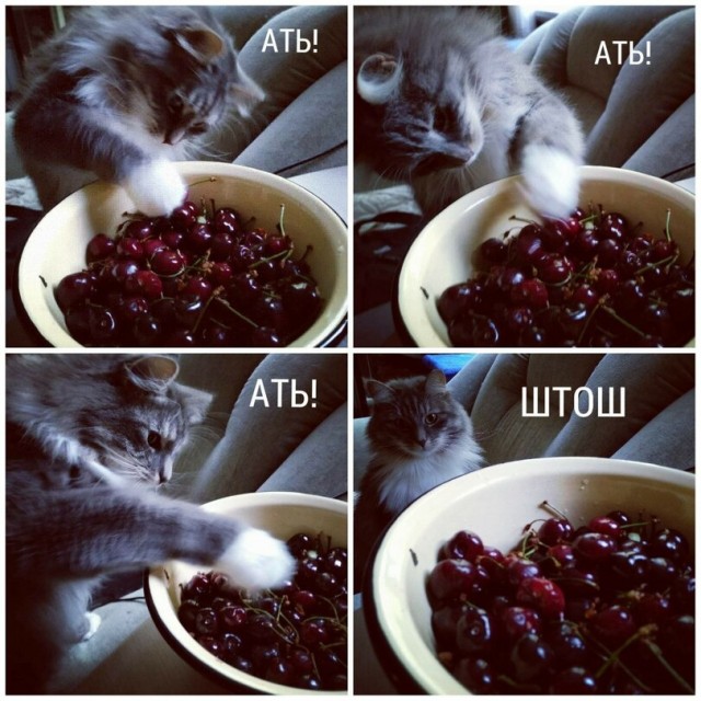 Так себе картинки 06.06.22
