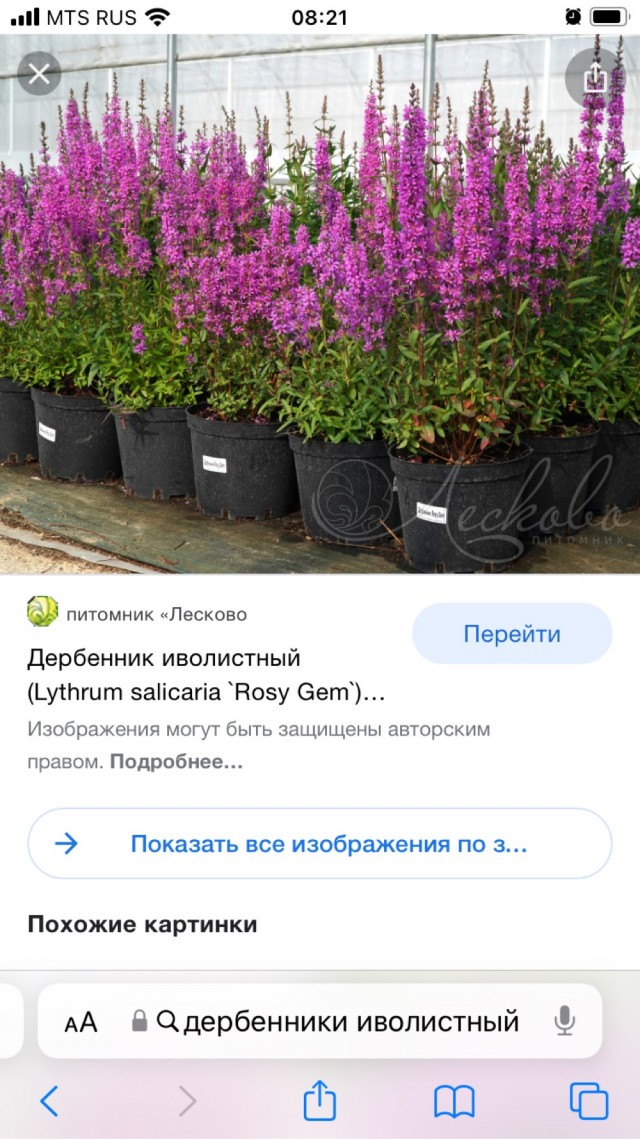 Для любителей сада-огорода
