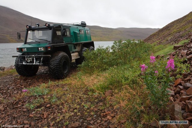 За Полярным кругом. Норильск. Тундра.