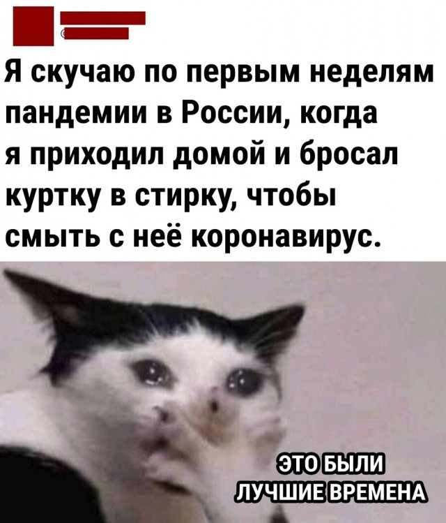 Чуток картинок 11.10.22
