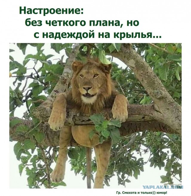 А как вы со своей "Бабой Ягой" познакомились?