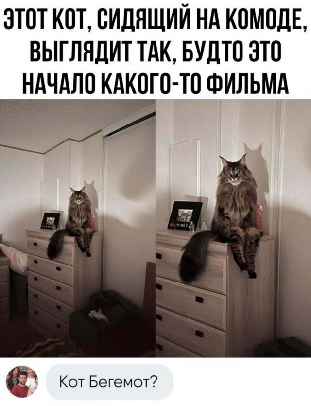 Немного картинок для настроения - 117