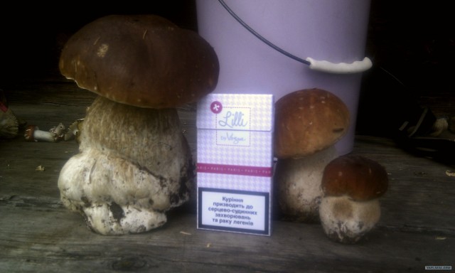 Путешествие по Западной Украине