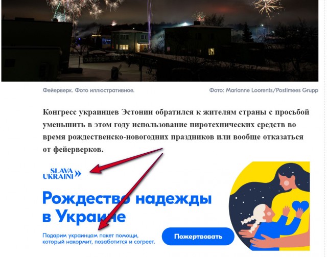 Украинцы попросили Эстонию отказаться от праздничных фейерверков