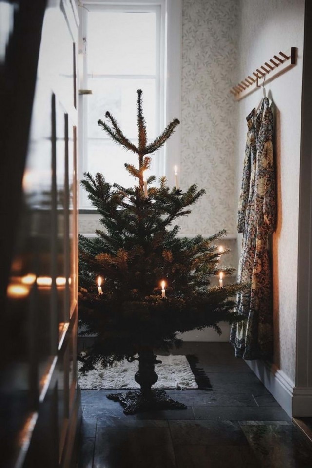 Прикольные и просто красивые картинки 25.12.2022