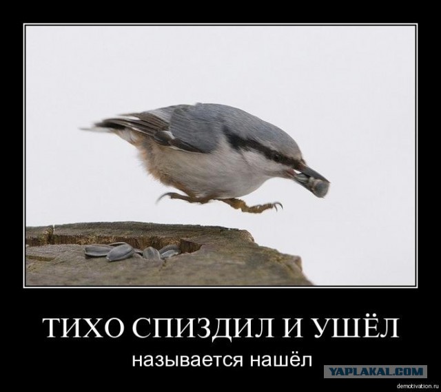 РЖД – самые поездатые поезда в мире?
