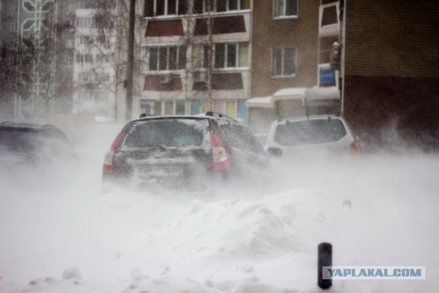 23 марта. Киев. Весна.