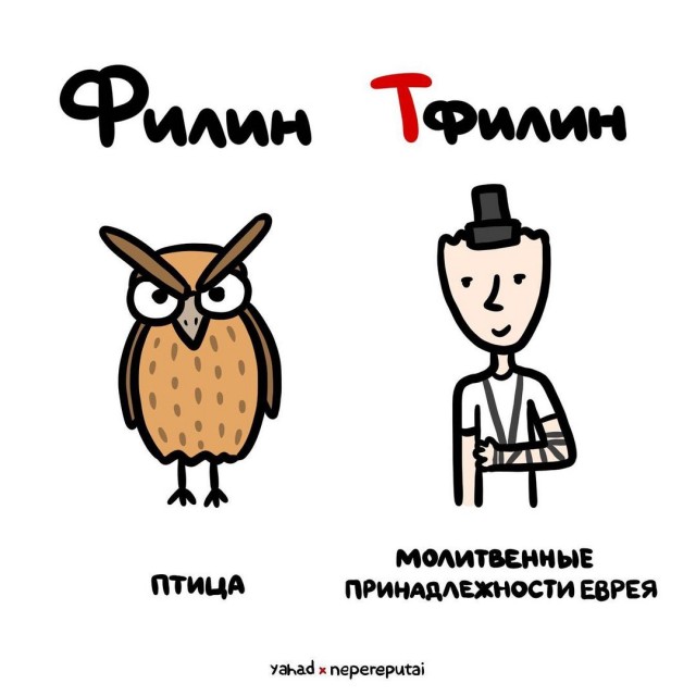 Смотри, Кутузов, не перепутай...