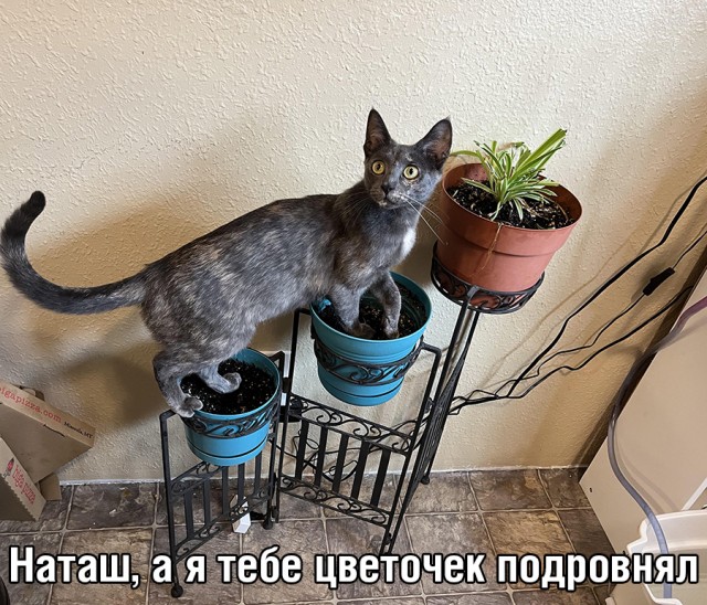 Немного картинок и прочей хреноты Vol. 23
