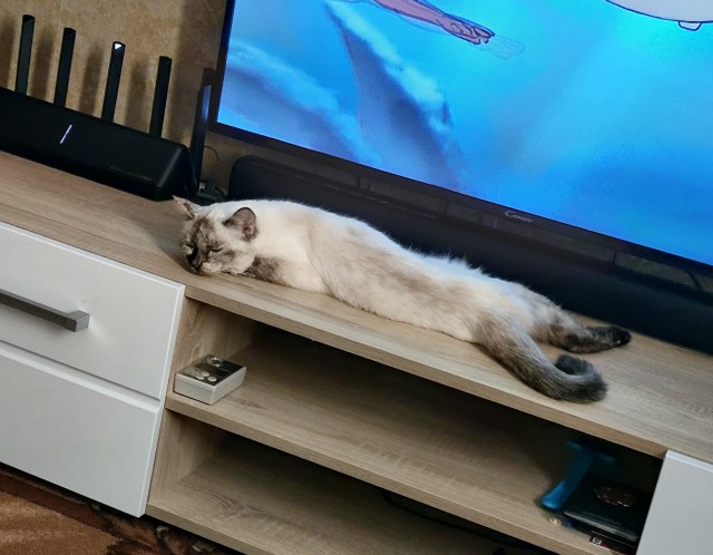 Красотка