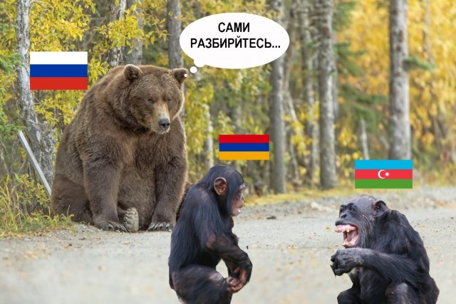 "Это вам не это"