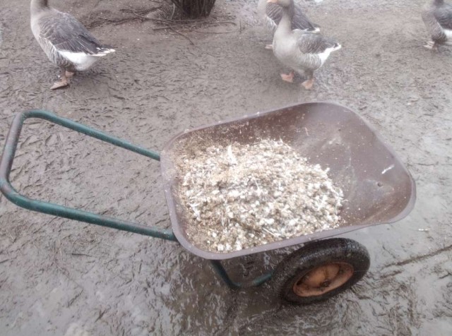 Еще раз о ценах на яйца и мясо птицы на личном опыте