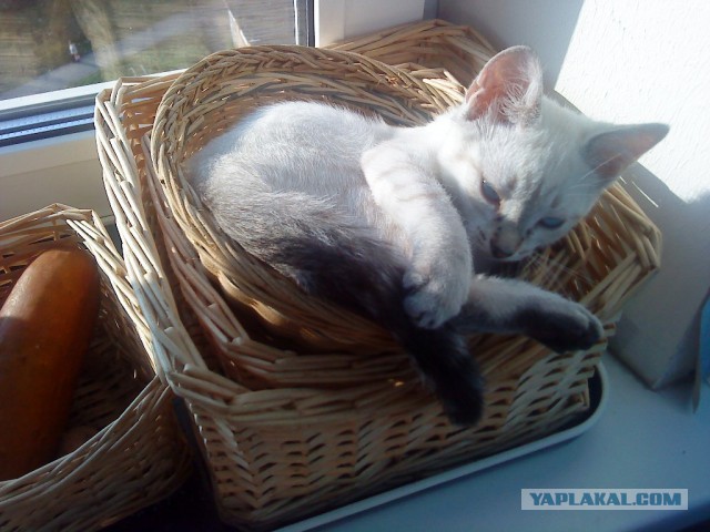 Почистил телефон