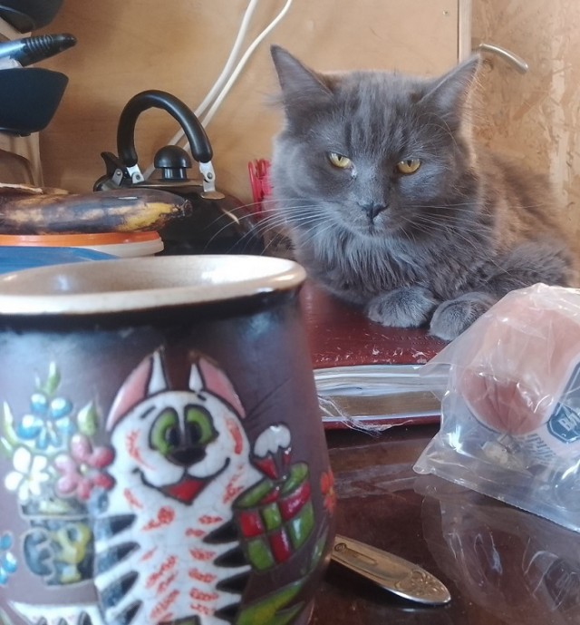 Вот и я стал рабом.