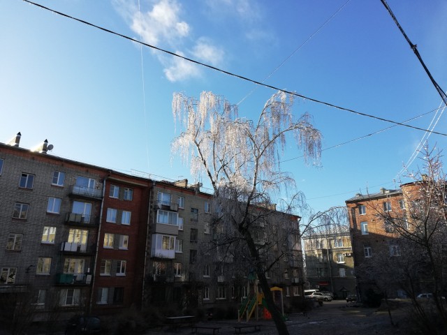 Жизнь домашнего приюта для котеек 490