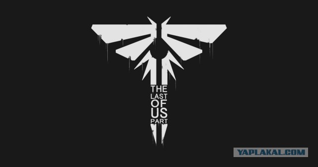 В мае из-под земли впервые за 230 лет выползет триллион насекомых. Чем это опасно?