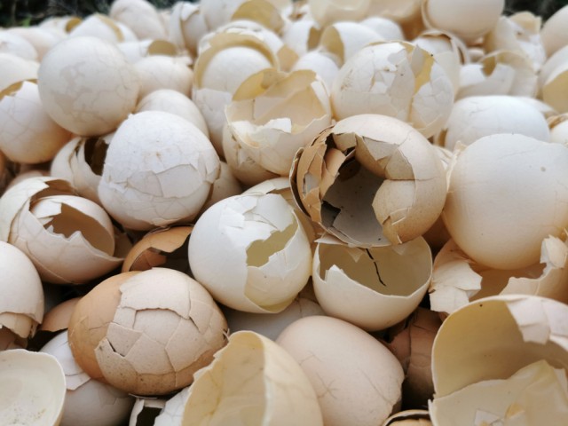 5 самых неприятных запахов в мире