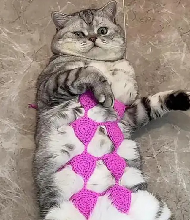 Коробочки наше фсё