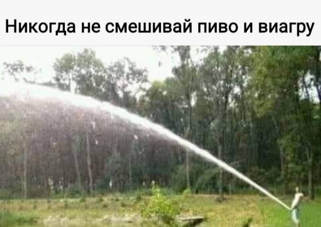 Так себе картинки 13.10.24
