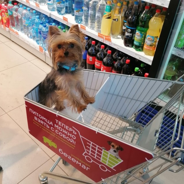 Животноводы среди нас