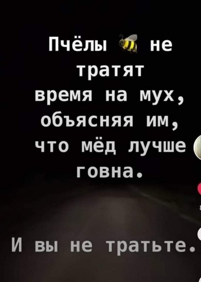 Прикольные и просто красивые картинки 06.12.2024