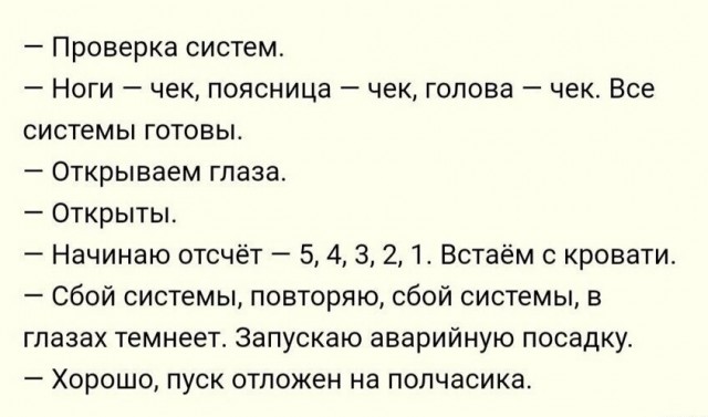 Так себе картинки 31.12.24