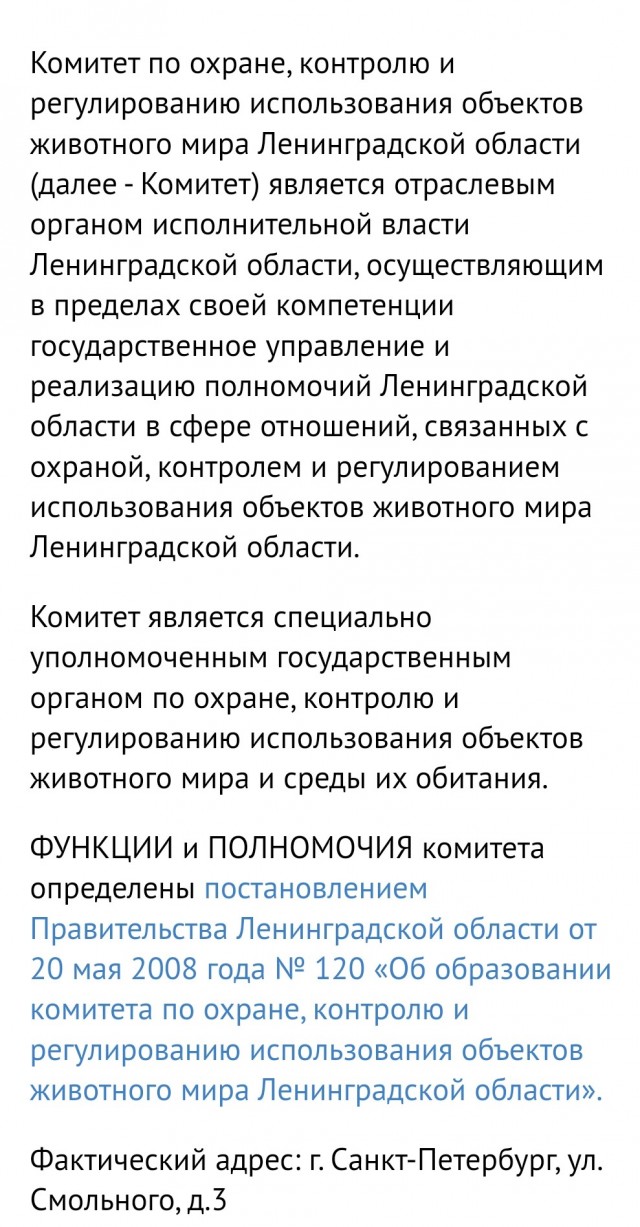 Охота — это психическое расстройство