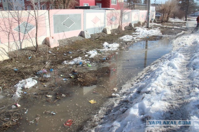 Рекордное потепление начнётся в Москве: К выходным воздух прогреется до +14 градусов