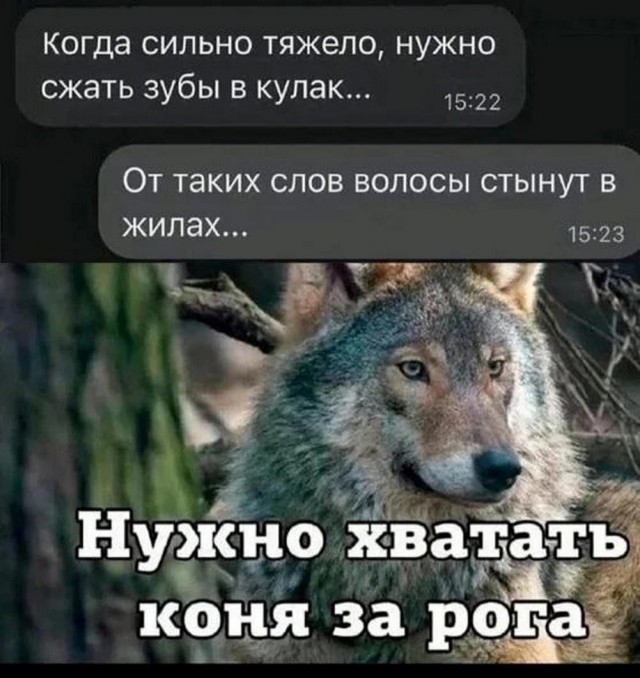 50 картинок с курсов игры на баяне
