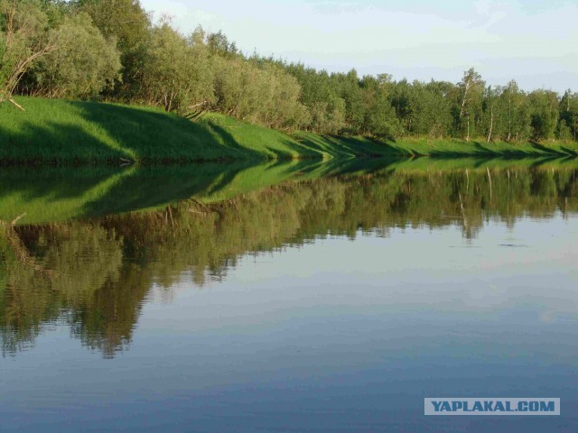 Красота! Лето на Ямале. Фото