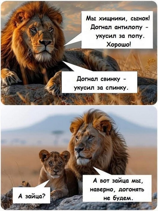 Картинки, своеобразного юмора