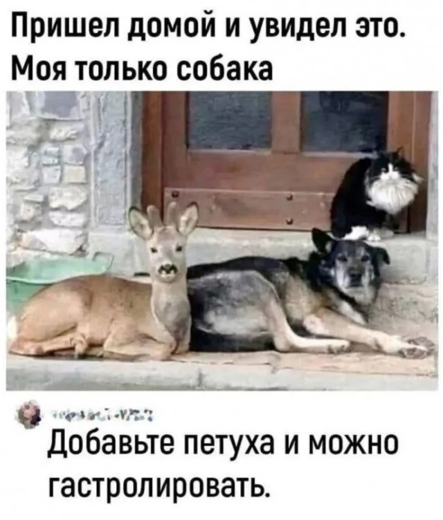 Завалялось тут случайно немного забавных картинок