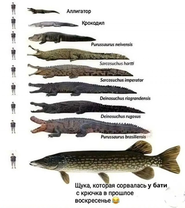 Картинки разные с надписями и без