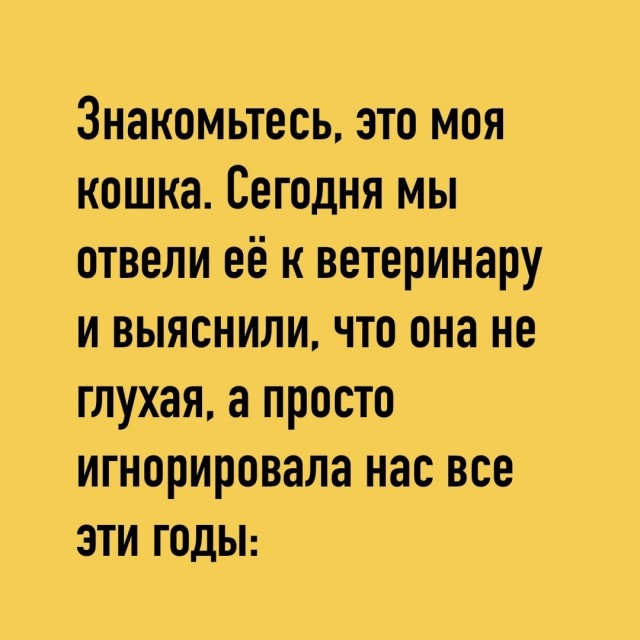 Так себе картинки 08.05.25