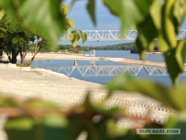 Самый большой бесплатный пляж Подмосковья готовится к официальному открытию