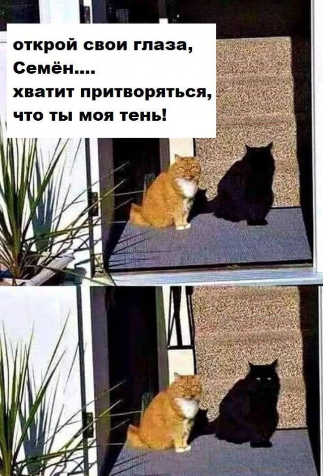 Так себе картинки 03.07.25