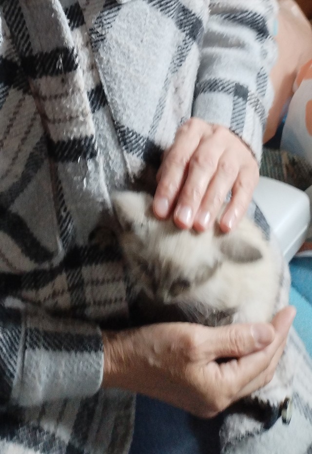 Никто никуда не поедет