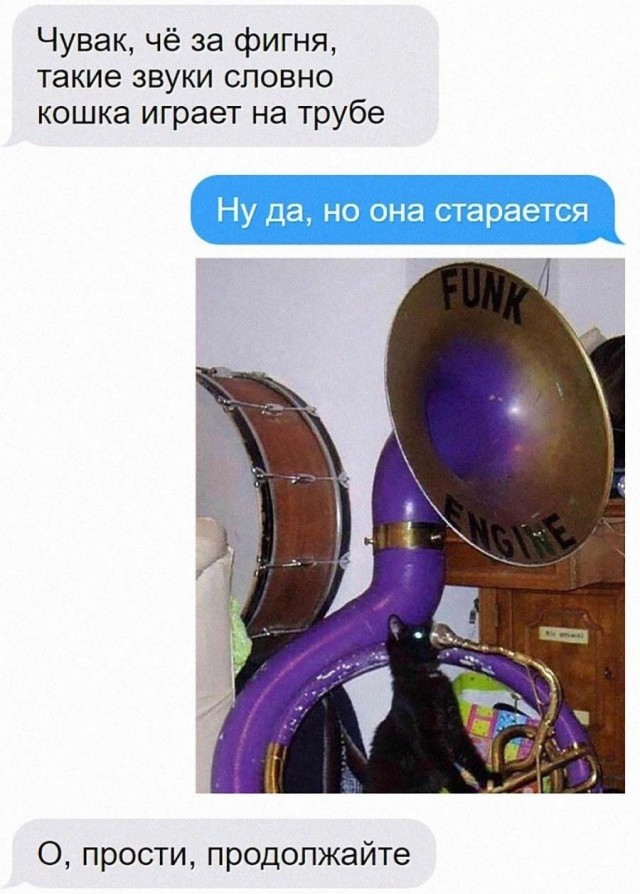 Картинки для деградации 31 (разной стпени свежести)