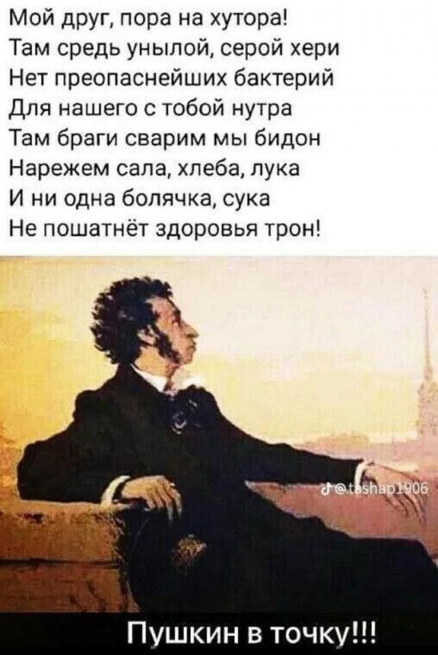 Картинки для деградации 52 (разной степени свежести)